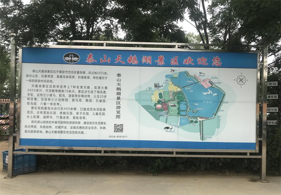 天鵝湖風(fēng)景區(qū)（泰山）速覽！(圖2)