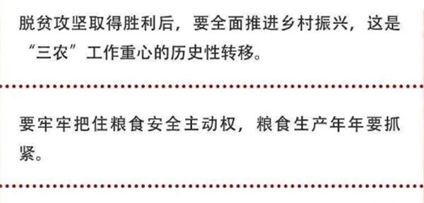 2020年中央農村工作會議精神速覽！(圖2)