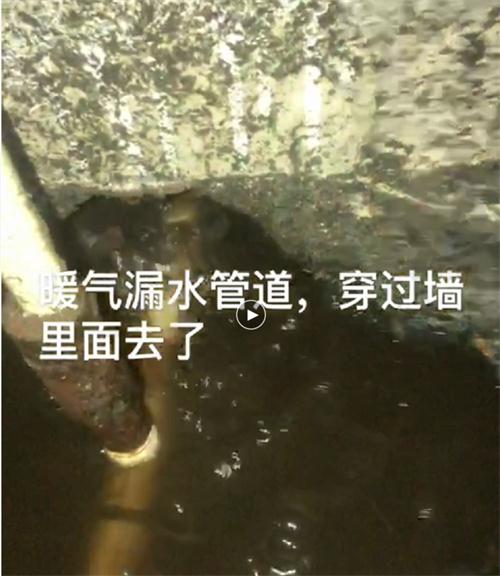 精準(zhǔn)檢測(cè)漏水、滲水：客廳、廚房、衛(wèi)生間。。。(圖4)